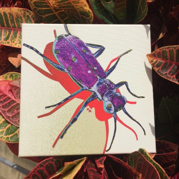 Tiger Beetle - Original Wall Art print on 12 x 12 canvas - Picture 6 of 6